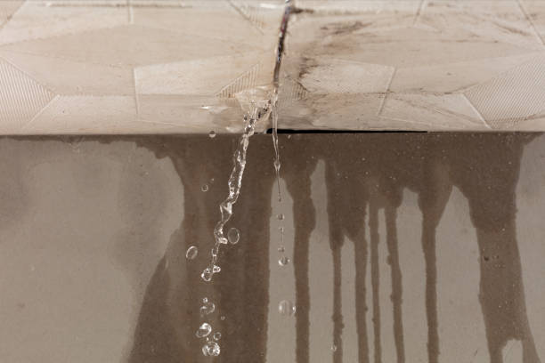 Professional Sewage Cleanup technician working in Van Meter, IA